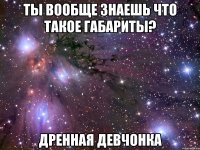 ты вообще знаешь что такое габариты? дренная девчонка