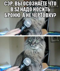 сэр, вы осознаёте что в sz надо носить броню, а не чертовку? 