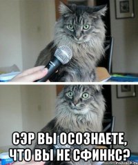  сэр вы осознаете, что вы не сфинкс?