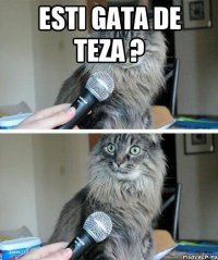 esti gata de teza ? 