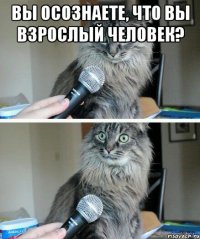 вы осознаете, что вы взрослый человек? 