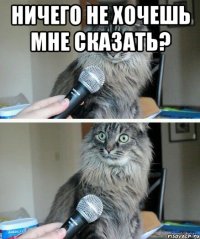 ничего не хочешь мне сказать? 