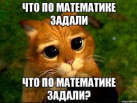 что по математике задали что по математике задали?