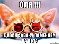 оля !!! давай собаку поменяем на кота