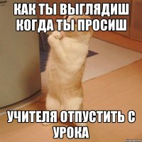 как ты выглядиш когда ты просиш учителя отпустить с урока