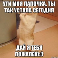 ути моя лапочка, ты так устала сегодня дай я тебя пожалею:3