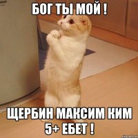 бог ты мой ! щербин максим ким 5+ ебет !