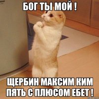 бог ты мой ! щербин максим ким пять с плюсом ебет !