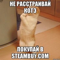 не расстраивай котэ покупай в steambuy.сом