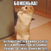 боженька! ну пожалуйста! во имя сосисек всего мира!пусть нефтехимик покажет всем кузькину мать!!!