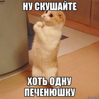 ну скушайте хоть одну печенюшку