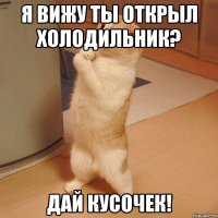 я вижу ты открыл холодильник? дай кусочек!