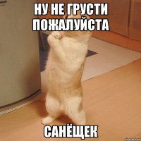 ну не грусти пожалуйста санёщек