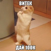 витек дай 100к