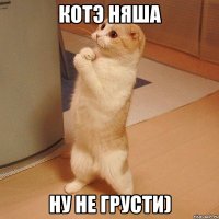 котэ няша ну не грусти)