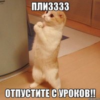 плизззз отпустите с уроков!!