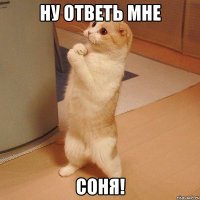 ну ответь мне соня!