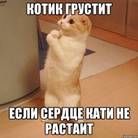 котик грустит если сердце кати не растаит