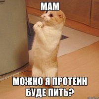 мам можно я протеин буде пить?