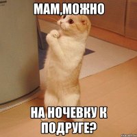 мам,можно на ночевку к подруге?