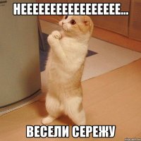 неееееееееееееееее... весели сережу