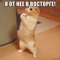 я от нее в восторге! 