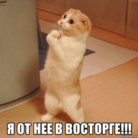  я от нее в восторге!!!