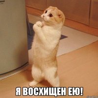  я восхищен ею!