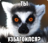 ты узбагоился?