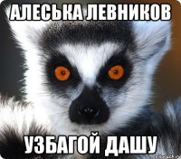 алеська левников узбагой дашу