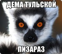 дема тульской пизараз