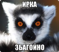 ирка збагойно