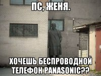 пс, женя. хочешь беспроводной телефон panasonic??