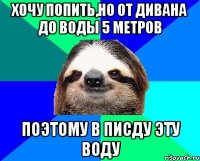 хочу попить,но от дивана до воды 5 метров поэтому в писду эту воду