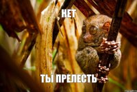 нет ты прелесть