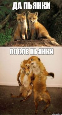 да пьянки после пьянки