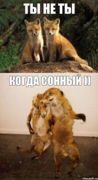 ты не ты когда сонный ))