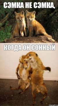 сэмка не сэмка, когда он сонный