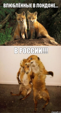 Влюблённые в Лондоне... В России!!!