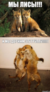 мы лисы!!! и мы держим эту группу!!!1