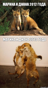 Марина и Диана 2012 года Марина и Диана 2013 года