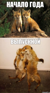 Начало Года Выпускной