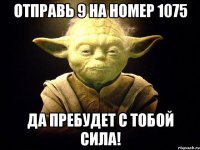 отправь 9 на номер 1075 да пребудет с тобой сила!