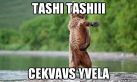 tashi tashiii cekvavs yvela