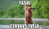 tashi cekvavs yvela