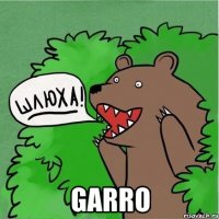  garro