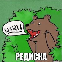  редиска