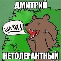 дмитрий нетолерантный