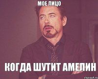 Мое лицо Когда шутит Амелин