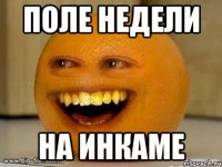 поле недели на инкаме